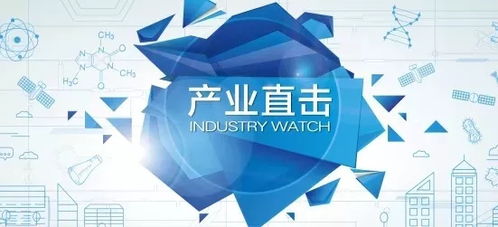 为创意产业注入信任与活力
