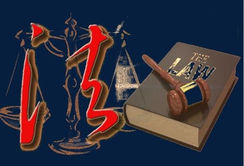 征地补偿律师，您的土地权益守护者