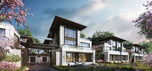 春天的脚步，探寻即将到来的春天