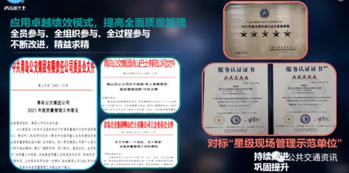 导游证年审平台，简化流程，保障服务质量