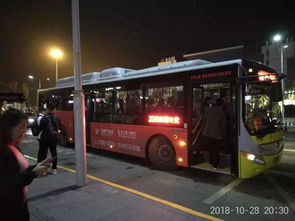 重庆万州公交车坠江事件，悲剧背后的反思与警示