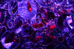 金鱼缸法则，透明沟通的艺术与实践