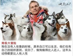 人与狗的深厚情谊，一段跨越千年的友谊