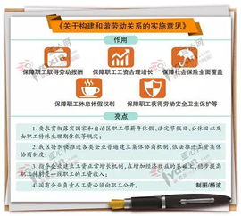 劳动法实施条例，保护你的权益，构建和谐的工作关系