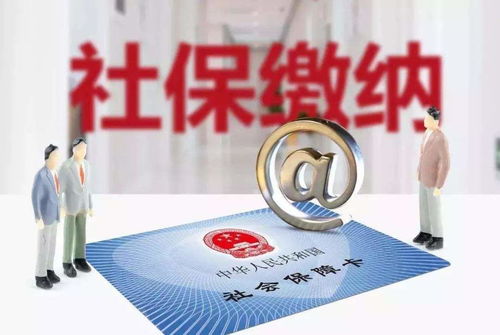 社保金不翼而飞，揭秘资金侵吞的黑幕与防范之道