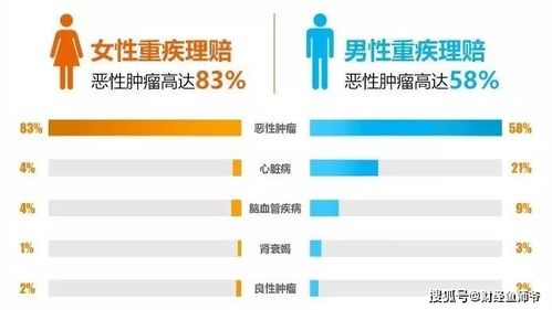揭秘增值税计算，如何让钱包鼓起来