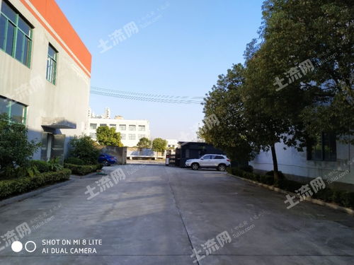 上虞房屋出租市场分析与租赁指南