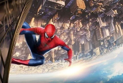 蜘蛛侠在家，如何与家中的大蜘蛛和平共处