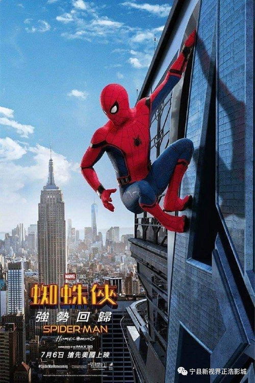 蜘蛛侠在家，如何与家中的大蜘蛛和平共处