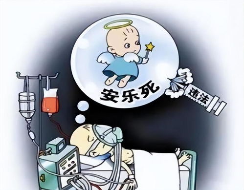 深入探讨，安乐死的伦理困境与潜在坏处