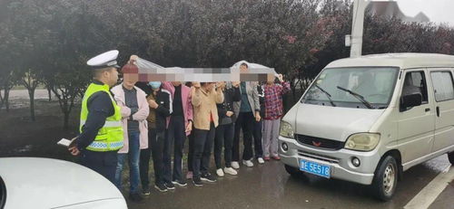 东营交警违章查询，便捷、透明、高效的交通管理服务