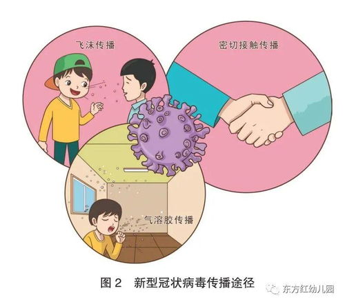揭秘代谢性酸中毒，理解、预防与应对