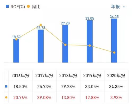 收益率公式的深度解析与应用