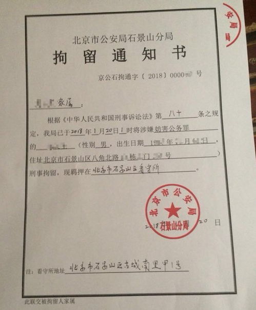 深入了解刑事拘留，条件、程序与影响
