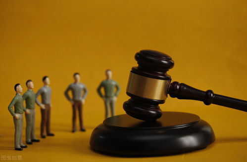 深入解析行政诉讼法，保障公民权益的法律武器