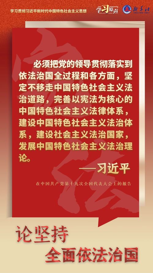 卫生法律法规，构建健康社会的基石