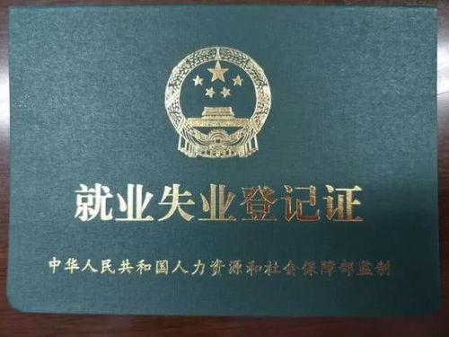 失业证办理指南，轻松搞定失业证明