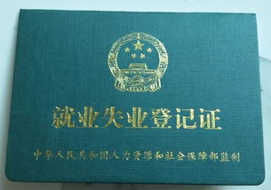 失业证办理指南，轻松搞定失业证明