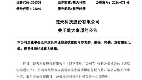 职务侵占罪量刑标准，深入解析与案例分析
