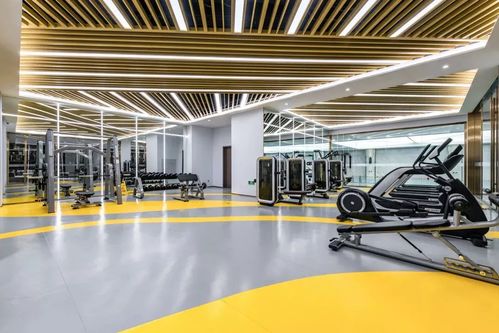 上海电子警察，智慧城市的守护者