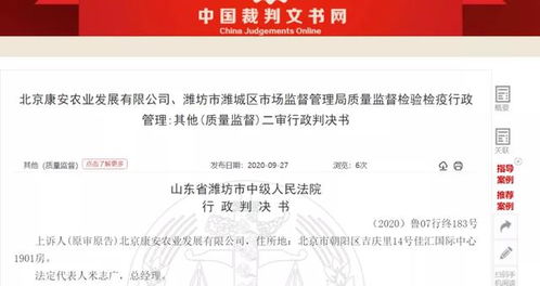 探索法律透明度，如何通过中国裁判文书网查询个人信息