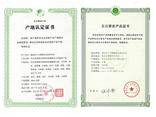 解读测绘资质管理办法，保障地理信息产业健康发展的关键举措