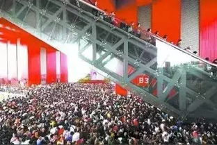 酒店门前的不速之客，游客车辆被砸事件深度解析