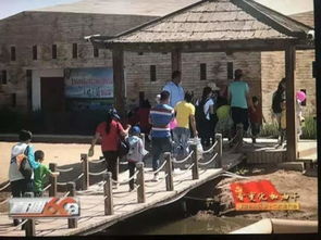 酒店门前的不速之客，游客车辆被砸事件深度解析