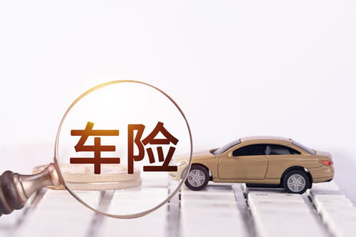 车险保哪些？全面解读车险保障范围，助您轻松选择