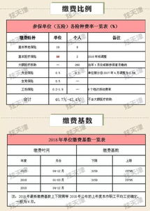 社保缴费比例，你的钱包和未来的桥梁