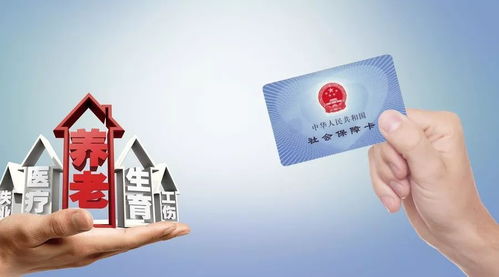深圳社保缴费基数2019，政策调整背后的民生与经济考量