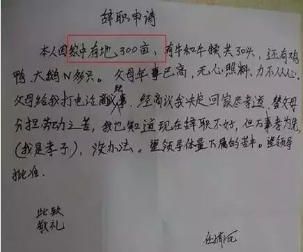 告别白衣天使，如何优雅地递交医生辞职信