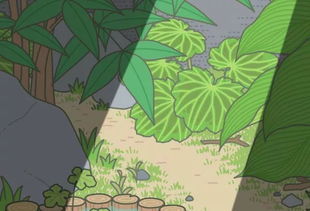 种子的奇妙旅行，植物如何巧妙传播后代