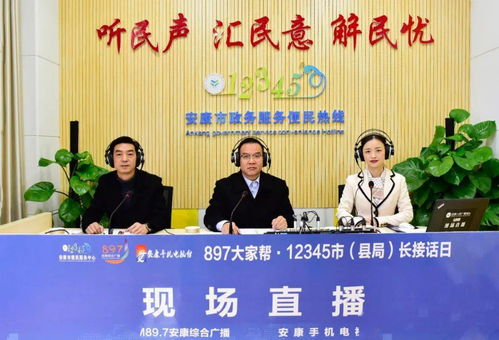 市长热线电话，连接市民心声的桥梁