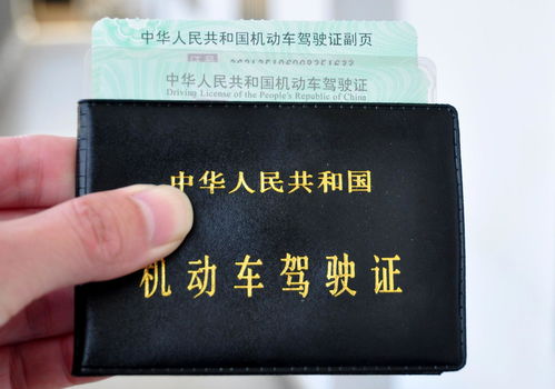 驾照新规定，全面解析与应对策略