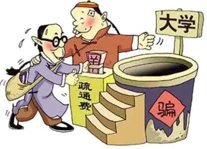 蚯蚓的秘密生活，揭秘这些地下居民的饮食习性