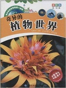 探索豆科植物的奇妙世界