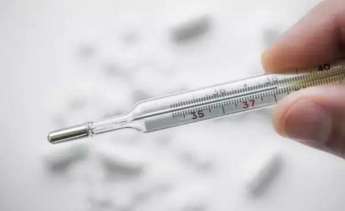 温度计的秘密，揭秘人类体温的正常范围