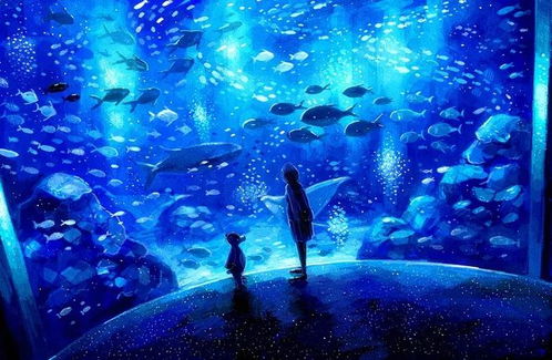 透过透明世界，探索浮法玻璃与超白玻璃的奇妙之旅