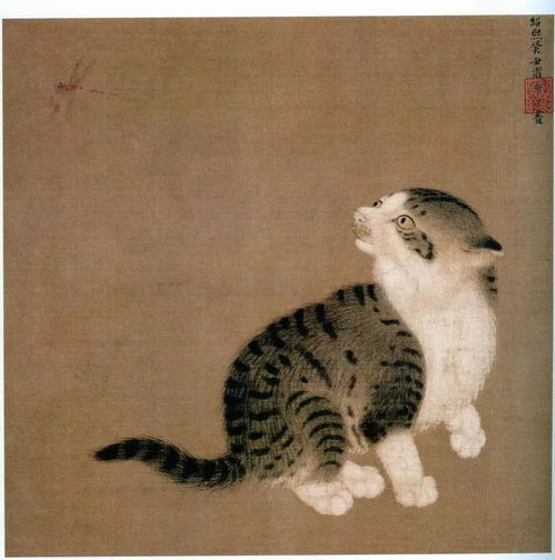 猫用尾巴钓鱼，探索动物行为的奥秘