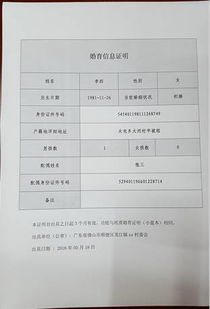 流动人口婚育证明样本解析与办理指南