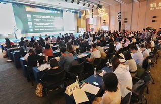 广东巨星影业有限公司，中国电影产业的璀璨明珠