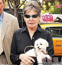 忠诚的伴侣，女子遗愿将遗产留给爱犬的感人故事