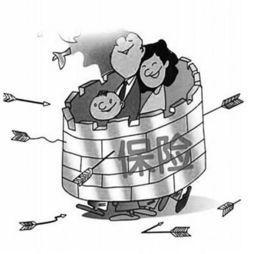 为未来投资，揭秘购买养老保险的费用与价值