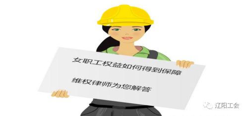 新劳动法解读，保障权益，共创和谐