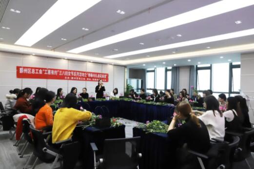 宁波律师协会，法律服务的桥梁与守护者