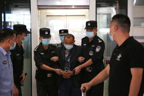 深入解析，如何高效寻找犯罪嫌疑人