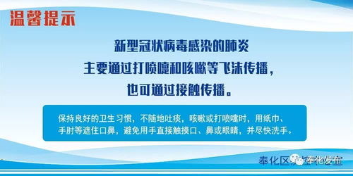 宁波工商年检，企业健康的年度体检
