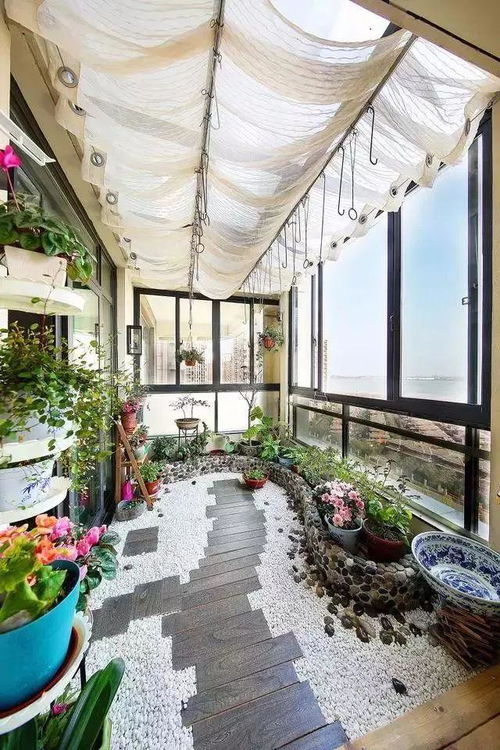 九里香的养殖方法，打造芳香四溢的绿色空间