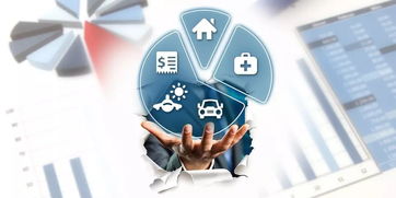 浙江省法制办，法治浙江的守护者与推动者